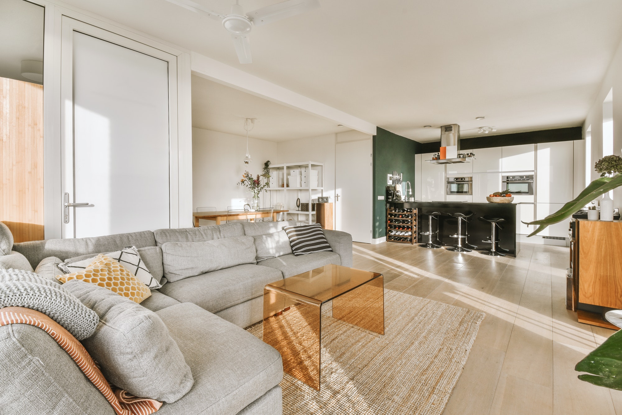 luxury-living-room-and-mini-kitchen.jpg